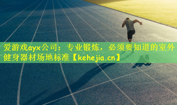 爱游戏ayx公司：专业锻炼，必须要知道的室外健身器材场地标准