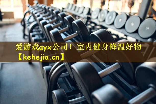 爱游戏ayx公司！室内健身降温好物