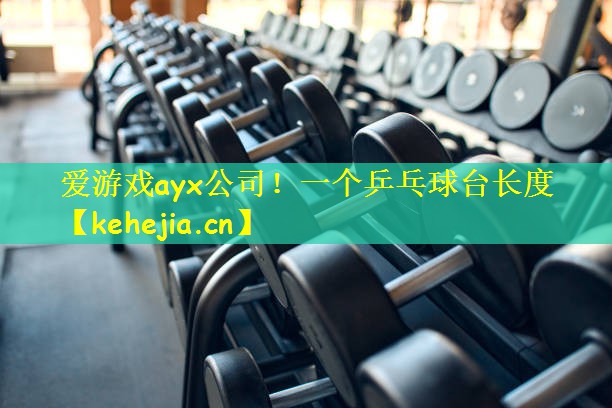 爱游戏ayx公司!一个乒乓球台长度