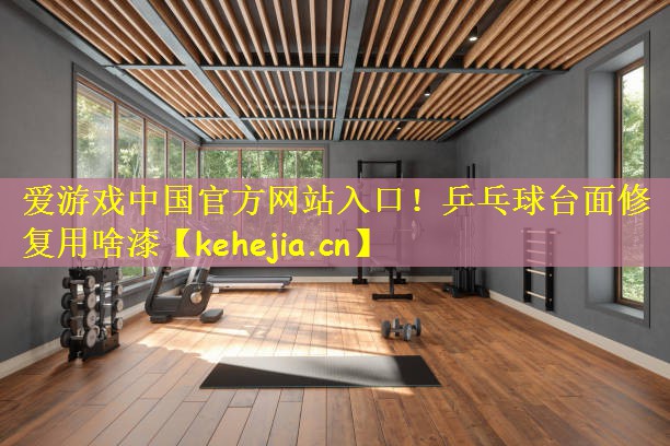 爱游戏中国官方网站入口!乒乓球台面修复用啥漆