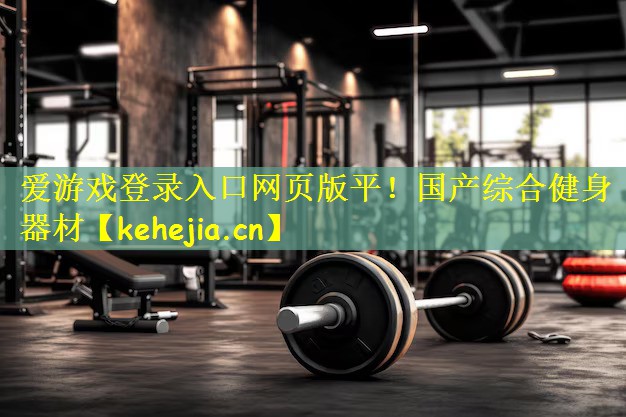 爱游戏登录入口网页版平!国产综合健身器材