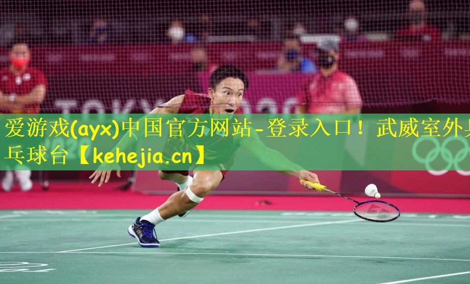 爱游戏(ayx)中国官方网站-登录入口!武威室外乒乓球台