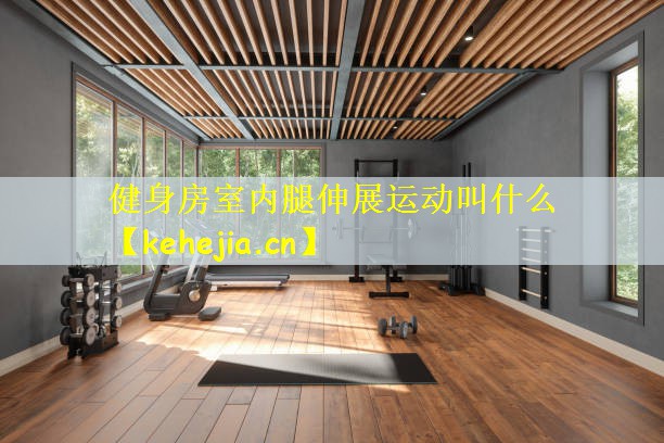 健身房室内腿伸展运动叫什么