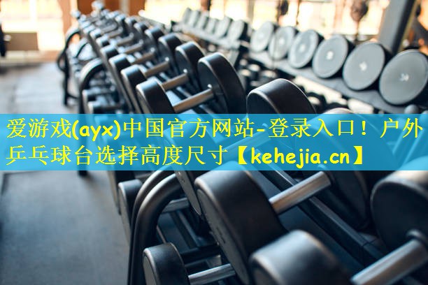 爱游戏(ayx)中国官方网站-登录入口!户外乒乓球台选择高度尺寸