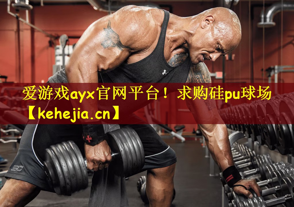 爱游戏ayx官网平台!求购硅pu球场