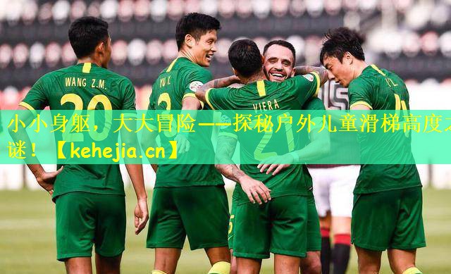 小小身躯,大大冒险——探秘户外儿童滑梯高度之谜!