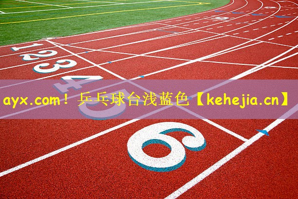 ayx.com!乒乓球台浅蓝色
