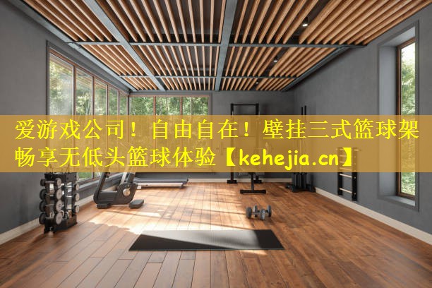 爱游戏公司!自由自在!壁挂三式篮球架畅享无低头篮球体验