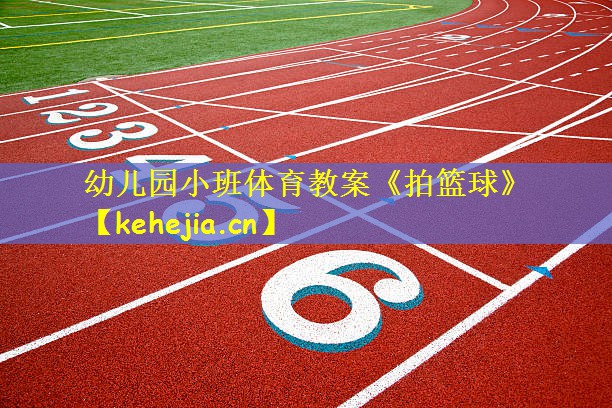 幼儿园小班体育教案《拍篮球》