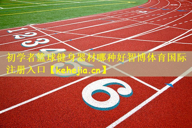 初学者篮球健身器材哪种好智博体育国际注册入口