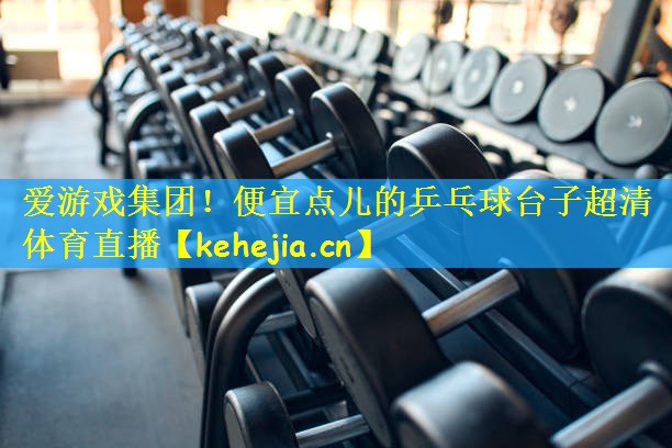 爱游戏集团!便宜点儿的乒乓球台子超清体育直播