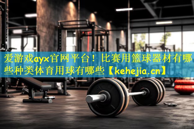 爱游戏ayx官网平台!比赛用篮球器材有哪些种类体育用球有哪些