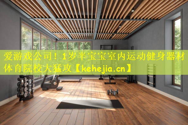 爱游戏公司!1岁半宝宝室内运动健身器材体育院校大猛攻
