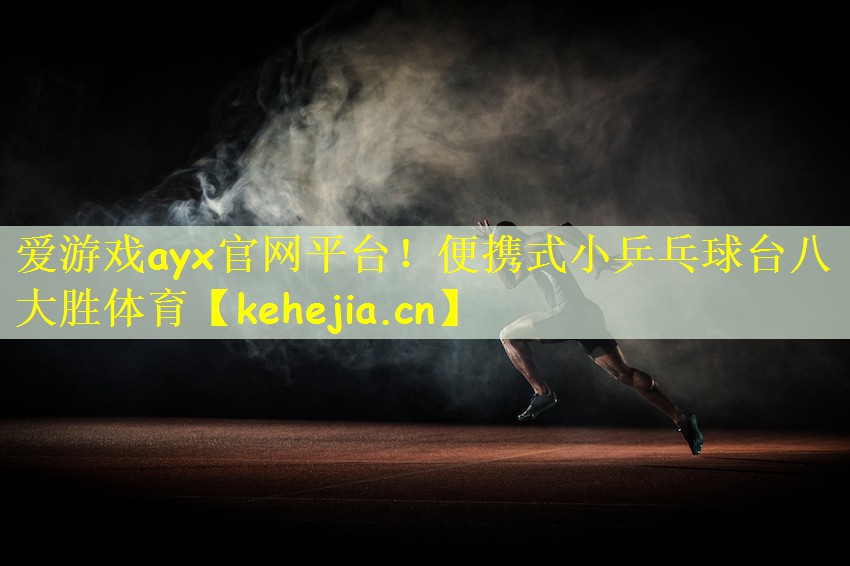 爱游戏ayx官网平台!便携式小乒乓球台八大胜体育