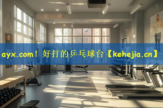 ayx.com！好打的乒乓球台