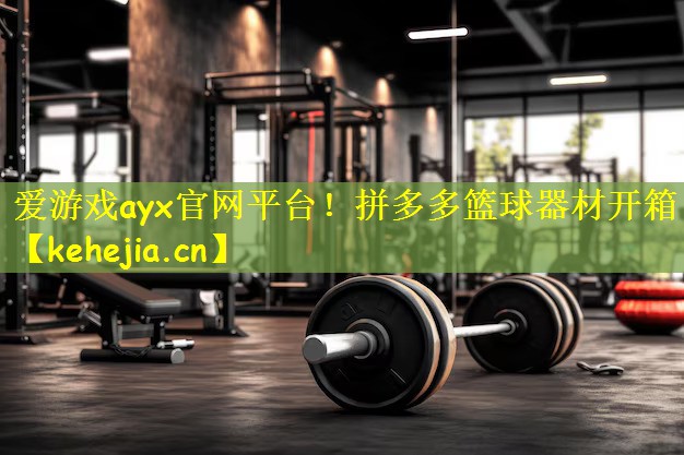 <strong>爱游戏ayx官网平台！拼多多篮球器材开箱</strong>