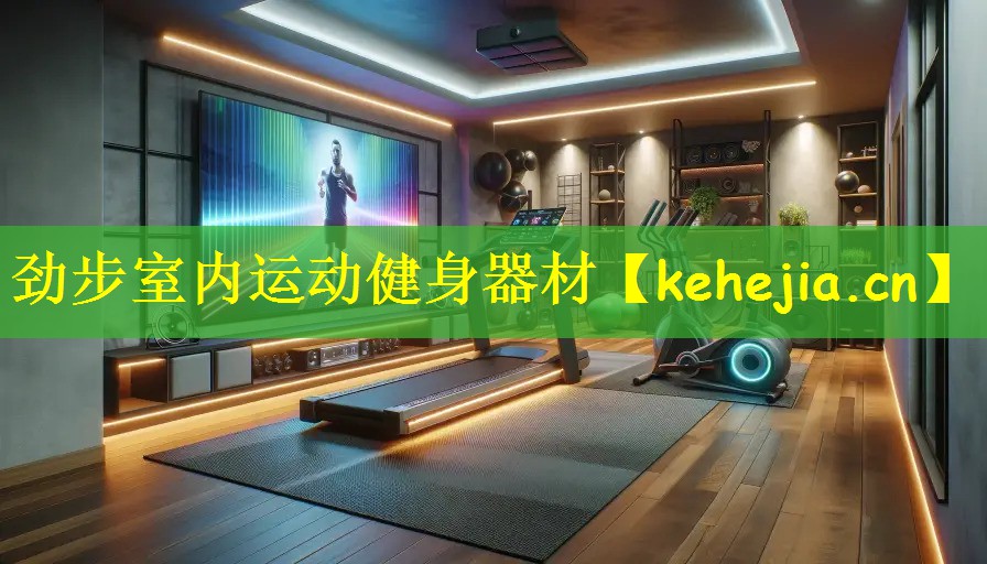 劲步室内运动健身器材