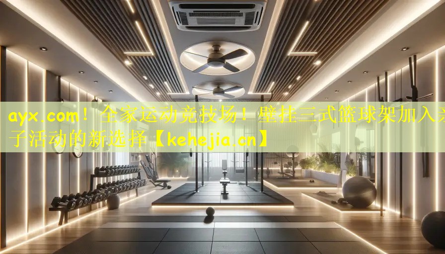 ayx.com！全家运动竞技场！壁挂三式篮球架加入亲子活动的新选择