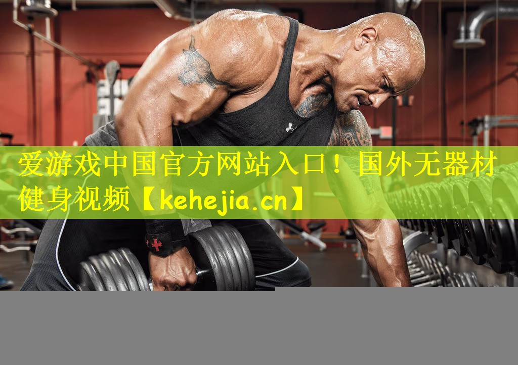 爱游戏中国官方网站入口！国外无器材健身视频