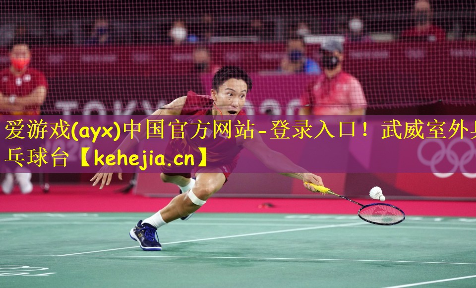 武威室外乒乓球台