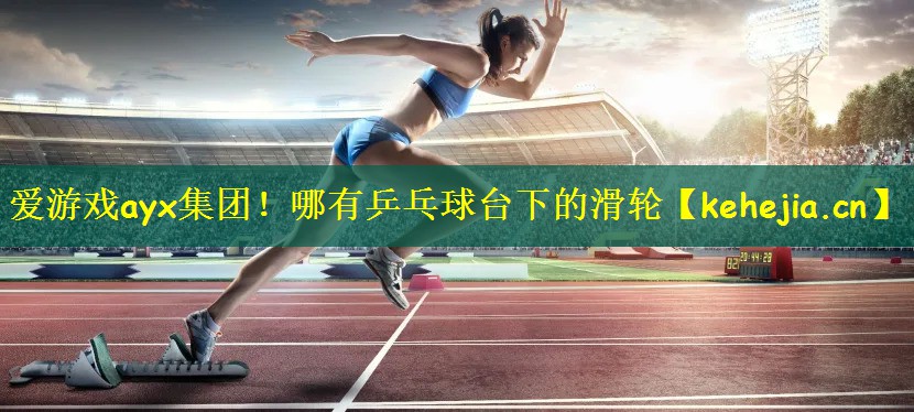 哪有乒乓球台下的滑轮