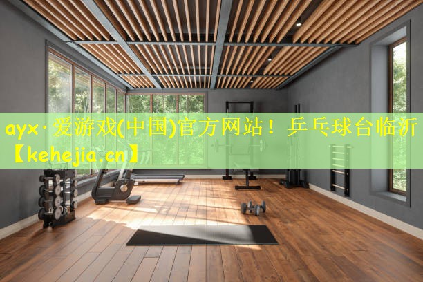 乒乓球台临沂
