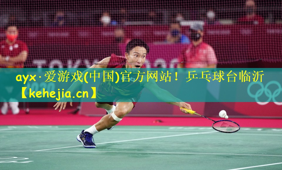 乒乓球台临沂