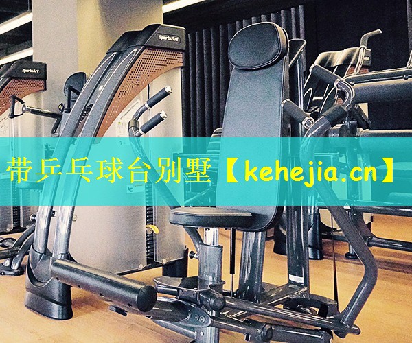 带乒乓球台别墅