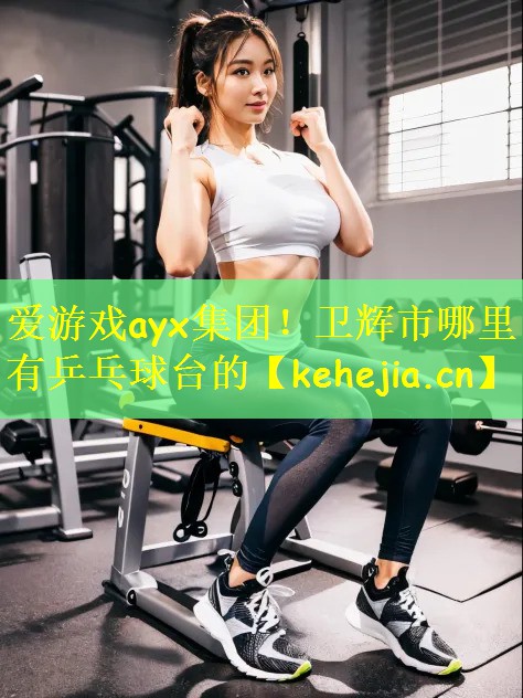 卫辉市哪里有乒乓球台的