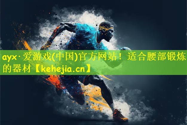 适合腰部锻炼的器材