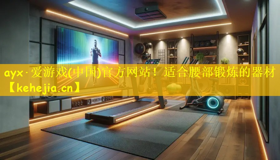 适合腰部锻炼的器材