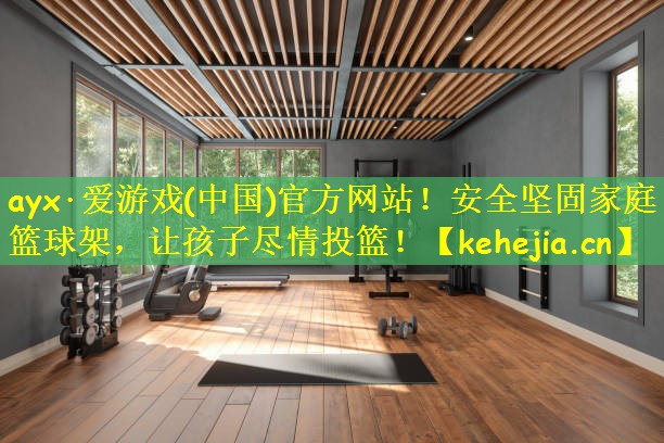 安全坚固家庭篮球架，让孩子尽情投篮！