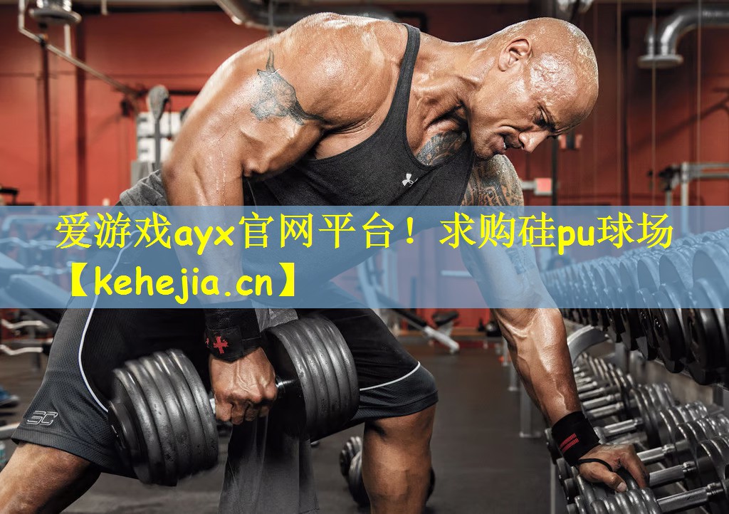求购硅pu球场