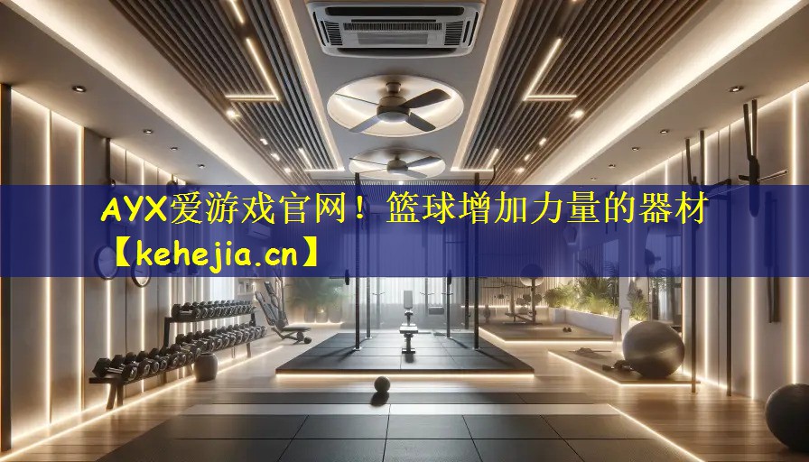 篮球增加力量的器材