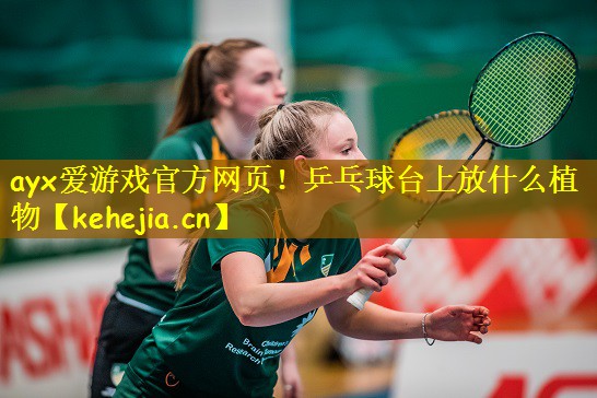 乒乓球台上放什么植物