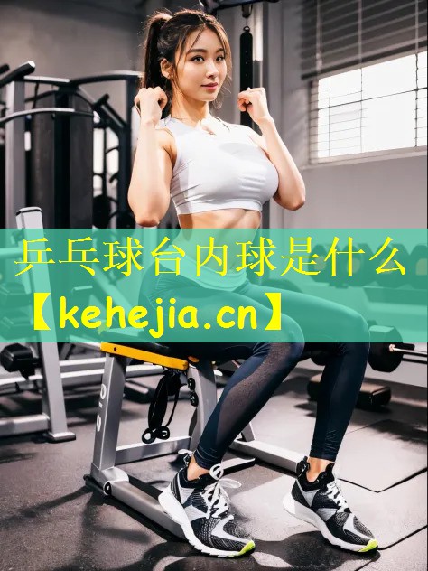 乒乓球台内球是什么