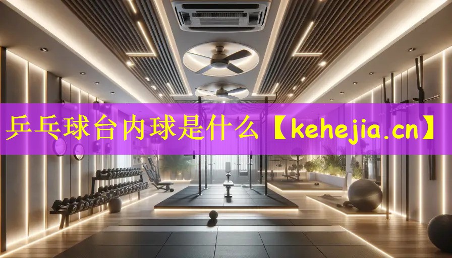 乒乓球台内球是什么