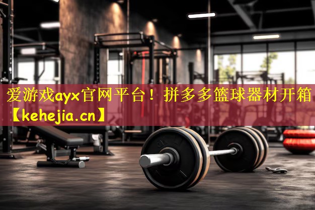 拼多多篮球器材开箱