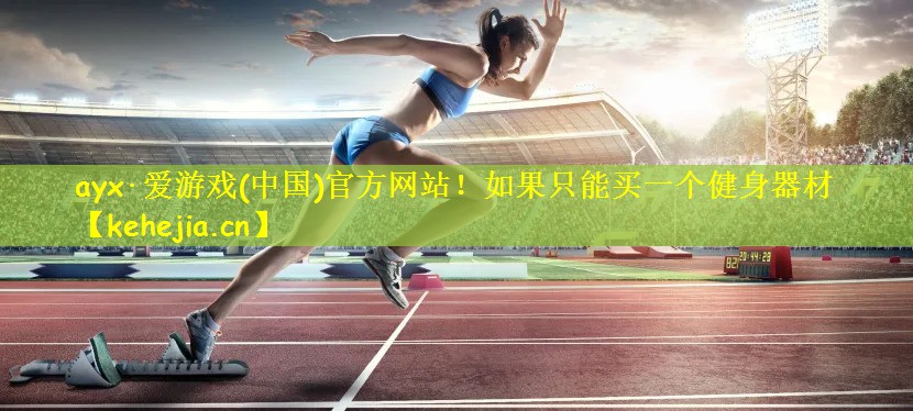 如果只能买一个健身器材