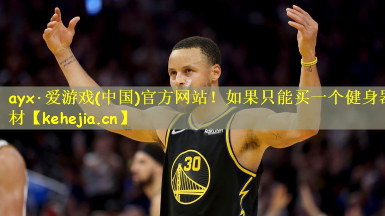 如果只能买一个健身器材
