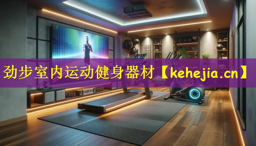 劲步室内运动健身器材